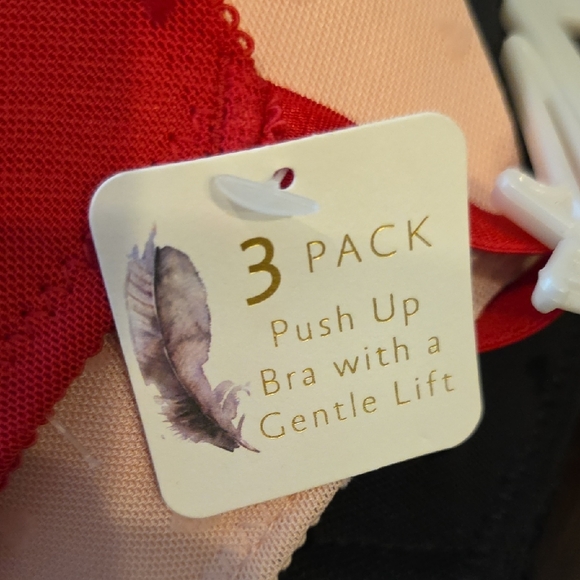 Jessica Simpson Push Up Bra Set 3pc 36C - Picture 3 of 7